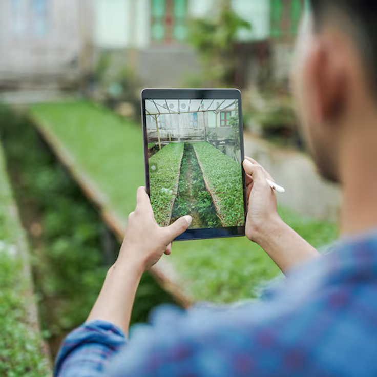 Home Automation Company,Smart Home Automation Company,Home Automation Services,Smart Door Lock Automation,Residential Automation Systems,Terrace Garden Designing Services,Balcony Gardening Services